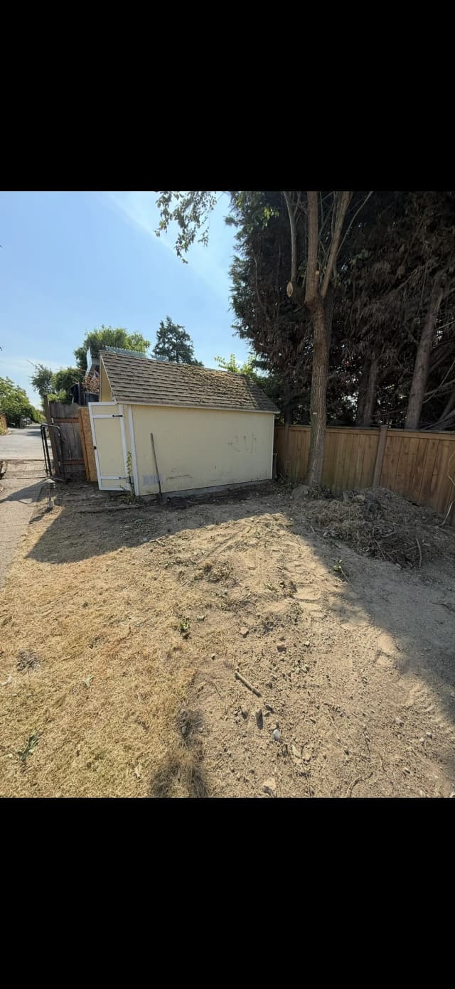 Cleared yard and outbuilding area after cleanup