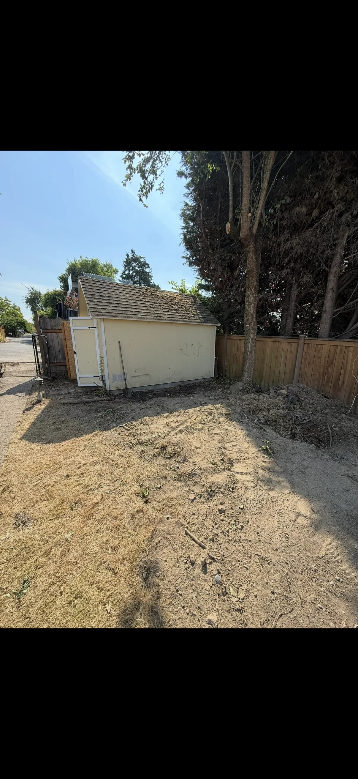 Cleared yard and outbuilding area after cleanup